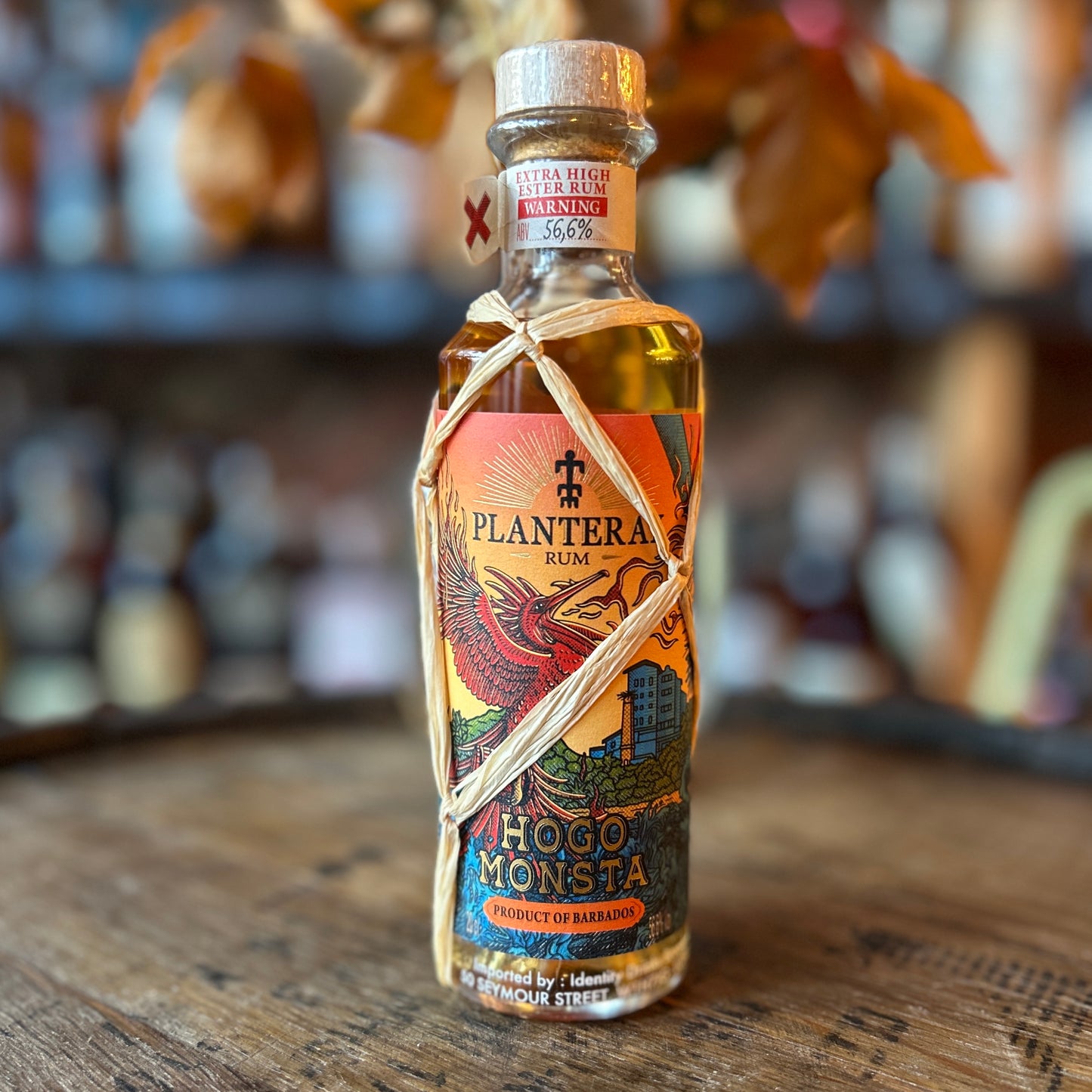 Planteray Hogo Monsta