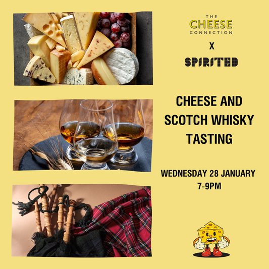 Cheese and Scotch Whisky Tasting with The Cheese Connection