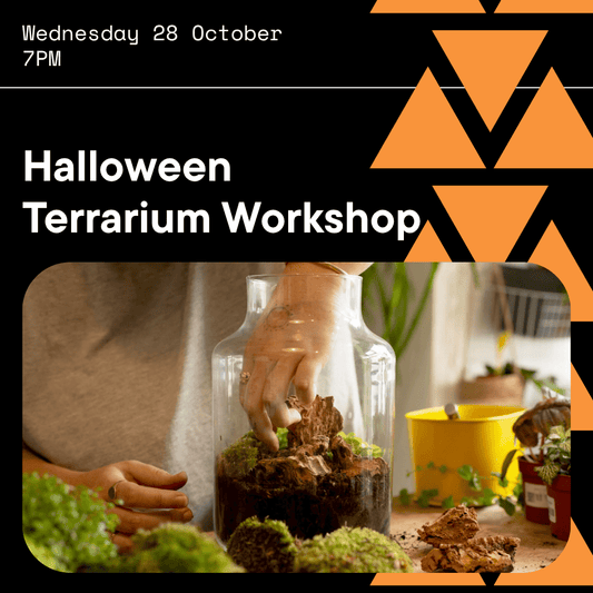 Halloween Terrarium Workshop with Plant Studio