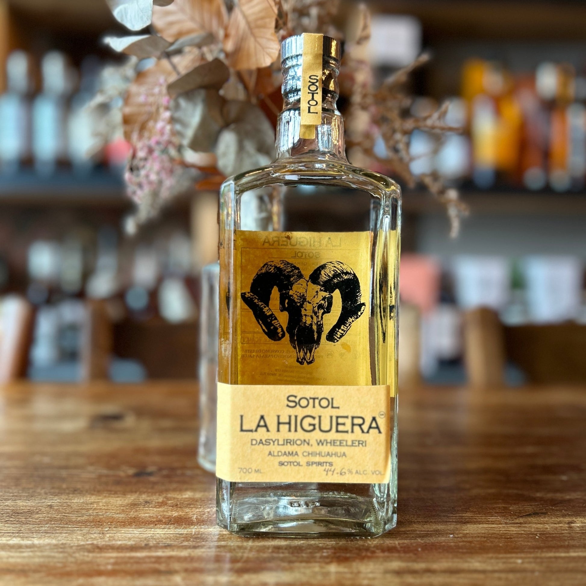 La Higuera Wheeleri - Spirited