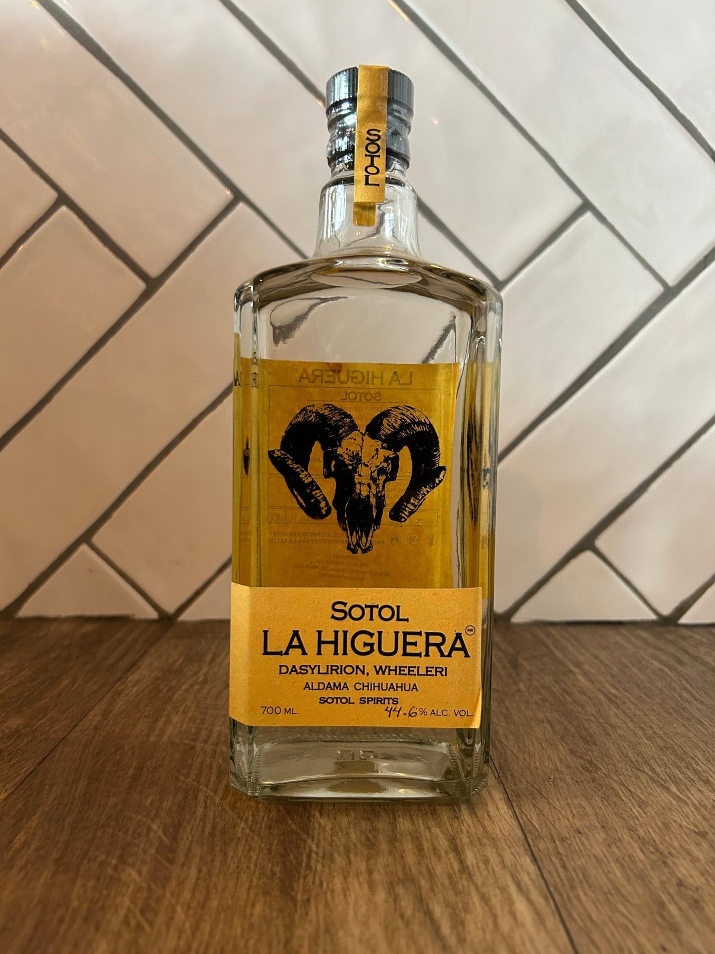 La Higuera Wheeleri - Spirited