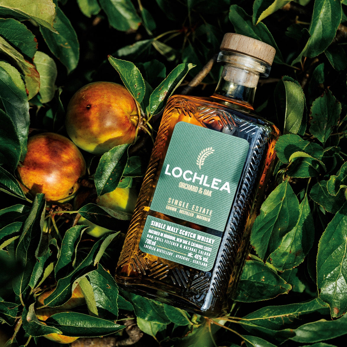 Lochlea Orchard and Oak - Spirited