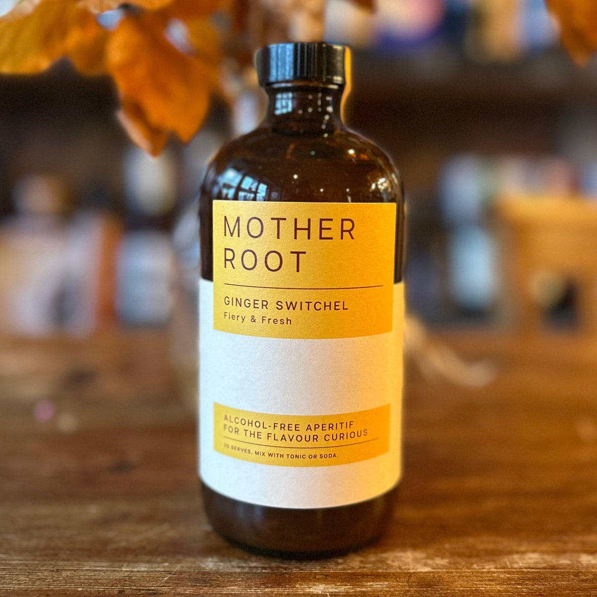 Mother Root Ginger Switchel - Spirited