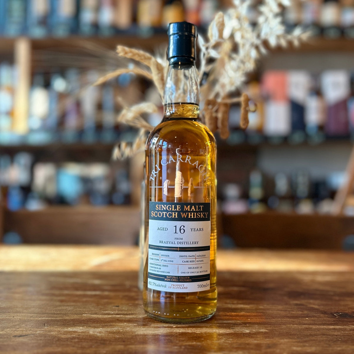 Tri Carragh | Braeval 16 Year OLd - Spirited